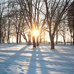 photo "Christmas decline"