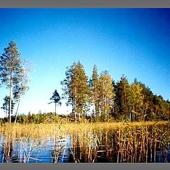 photo "Stone spit Oreh lake"