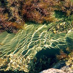 фото "Вода"