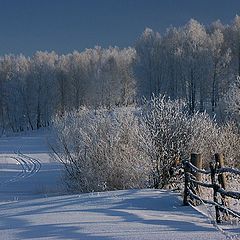photo "Winter evening"