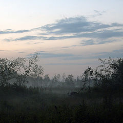 photo "In Mist Shrouded"