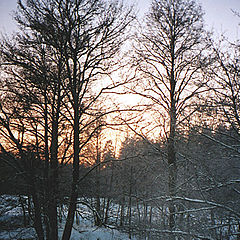 photo "Evening. Winter."