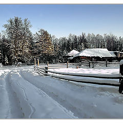 photo "Village in a wood"