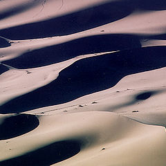 фото "dunes"