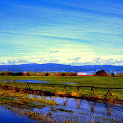 фото "Distorted Duck Farm"