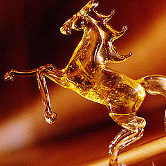 photo "Amber Horse"