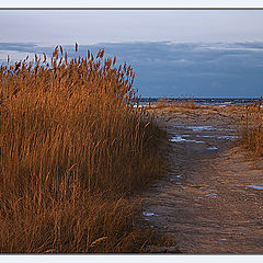 фото "Дорога к морю"