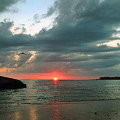 photo "Evening on the distant island"