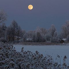 фото "January Moonrise"