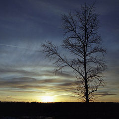 photo "On a sunset"