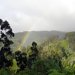 фото "Rainbow"