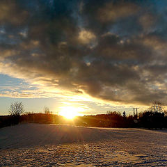 photo "Winter sun"