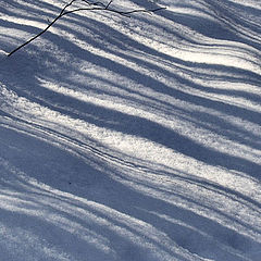 photo "Snow and shadows."
