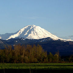 фото "Mt Rainier"