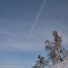 photo "Optimistic landscape"