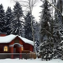 photo "Small house in a wood"