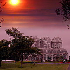 фото "A Sunday in the Botanical Garden"