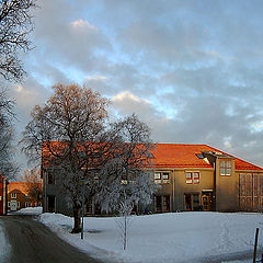 photo "Winter etude VII on Dragvoll"