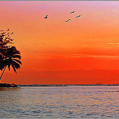 photo "Fishing in Red"