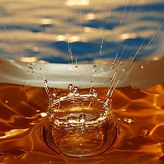photo "Crown"