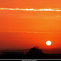 photo "Golden Morning"