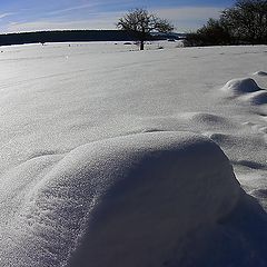 фото "На исходе января..."