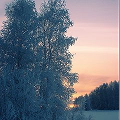 photo "Weather forecast for tomorrow"