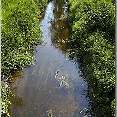 photo "Small river, clear water..."