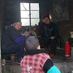 photo "china newyear"