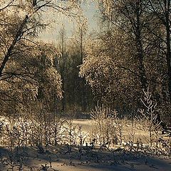 photo "Once in the winter evening"