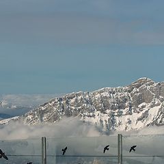 фото "flying above the fogged zombies"