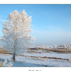 фото "White Magic"