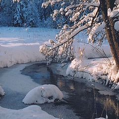 photo "Winter stream"