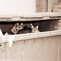 photo "Here we live.."