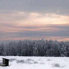 фото "Зимние зарисовки"