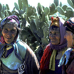 photo "three ladies"