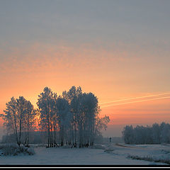 photo "February Morning"