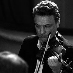 photo "The violinist"