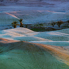 photo "ice desert"