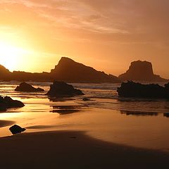 photo "Golden Sunset"