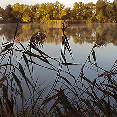 photo "Provincial landscape."