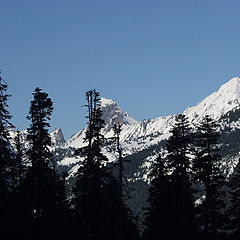 фото "Frosty View"