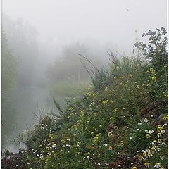 photo "Fog"