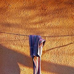 photo "On The Wire"