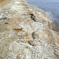 photo "Salt of the Dead Sea."