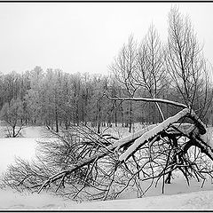 photo "Winter - 2004. On a break."