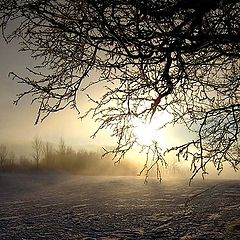 photo "Foggy day"