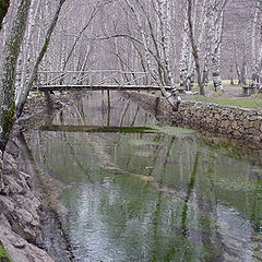 photo "river in mountain"