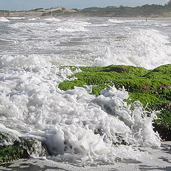 фото "Return to the Sea"