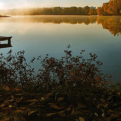 photo "Kind autumn."